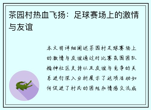 茶园村热血飞扬：足球赛场上的激情与友谊